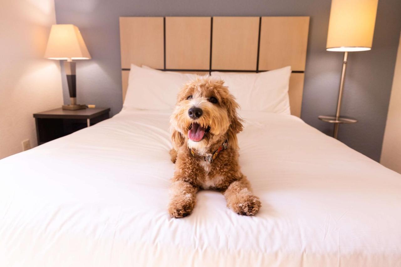 Sonesta Simply Suites Detroit Трой Экстерьер фото